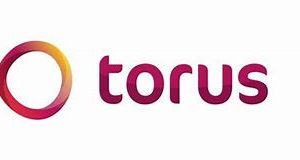 Torus